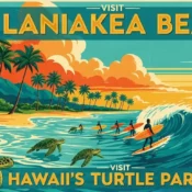 Laniakea Beach Hawaii